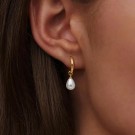 AVI Jewels Pearly earrings gold thumbnail