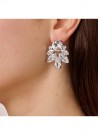 DYRBERG/KERN DRAGO SS CRYSTAL EARRINGS thumbnail