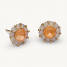 Lily and Rose New Miss Sofia earrings - Tropical thumbnail