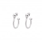 Lily and Rose petite Sheba hoops sølv thumbnail