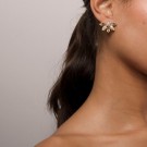 Lily and Rose Lucia earrings champagne thumbnail