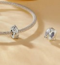 Natures Shape - Anheng/charm i 925 Sølv. thumbnail