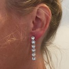 Crystal bliss long earrings thumbnail