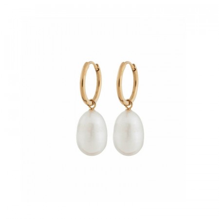 Edblad Perla earrings gold