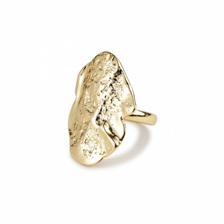 Pilgrim ring Valkyria