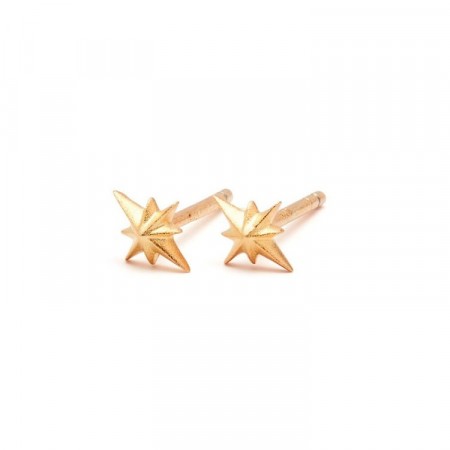 Compass earsticks gold