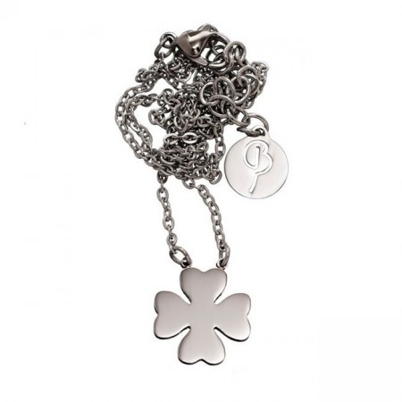 Lucky necklace steel