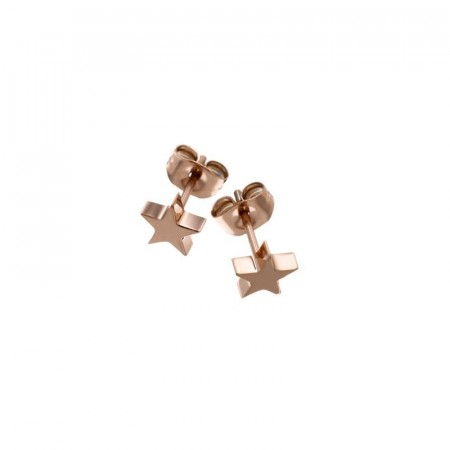 Star studs small rosegold