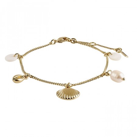 Pilgrim skjell armbånd Love gull