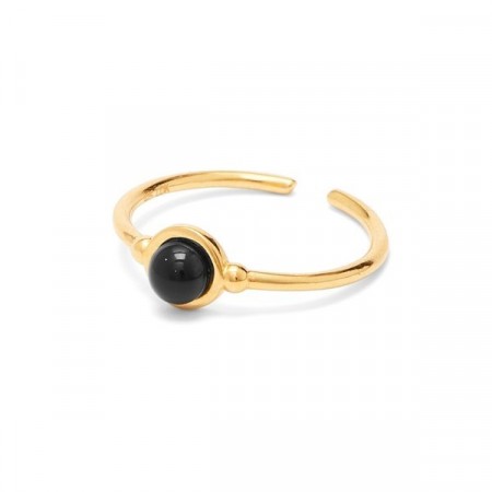 Colour ring gold/black