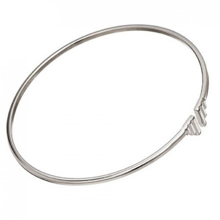 Divine Wings Bangle Steel