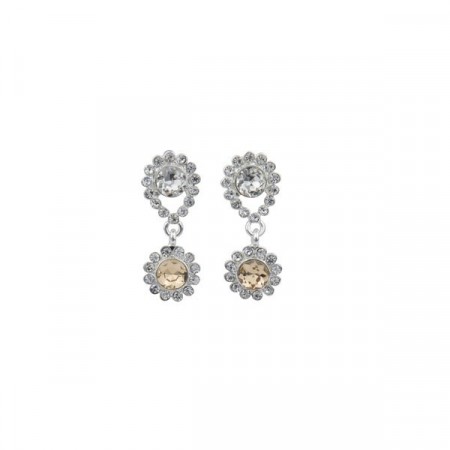 Swire small ear silver/champagne